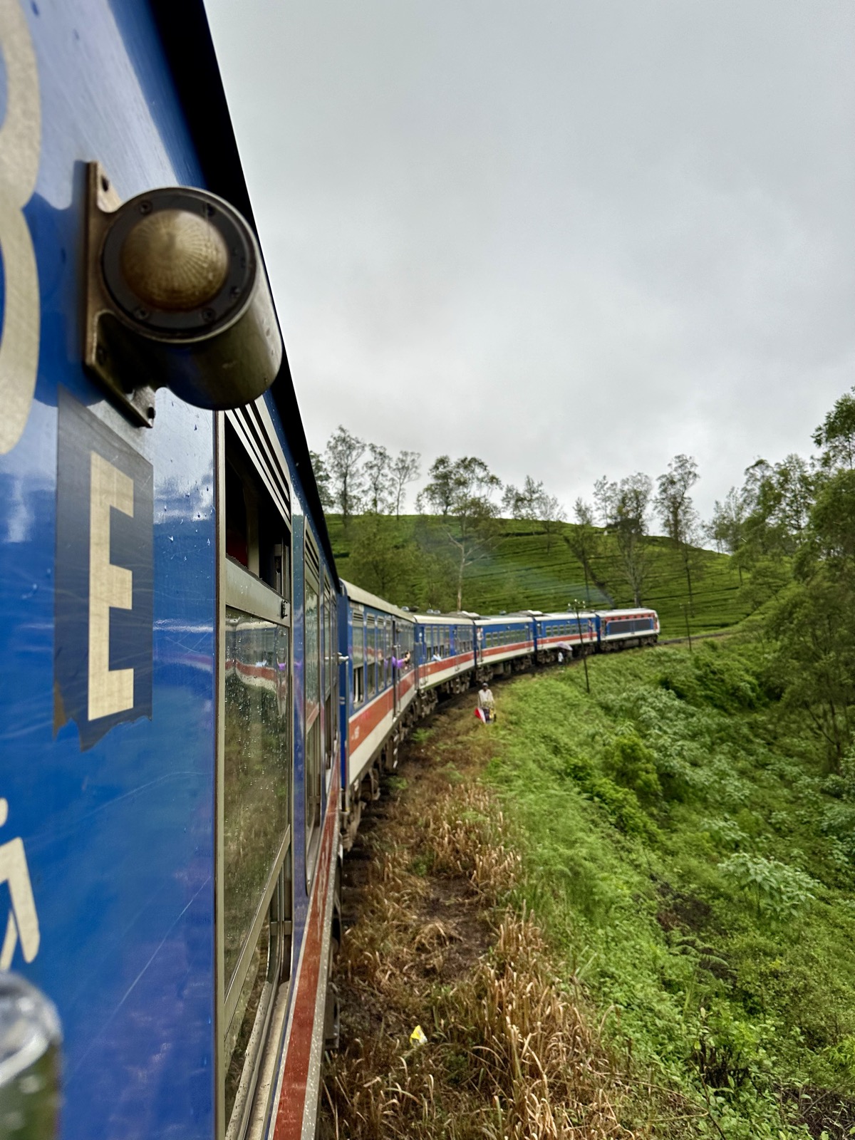 Sri Lanka çay tarlası tren